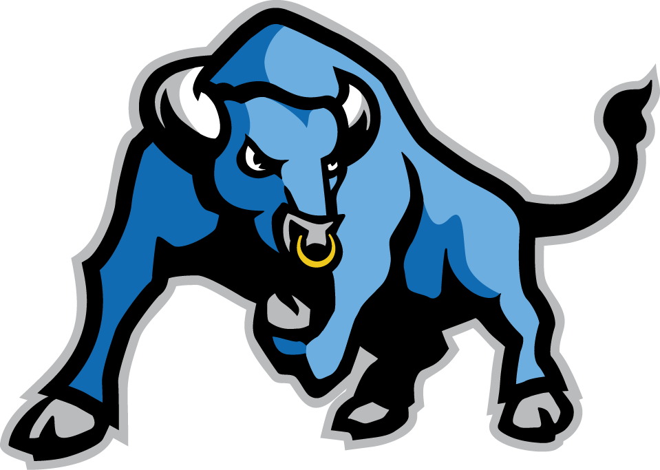 Buffalo Bulls 2007-Pres Alternate Logo diy fabric transfer